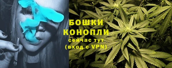 не бодяженный Михайловск