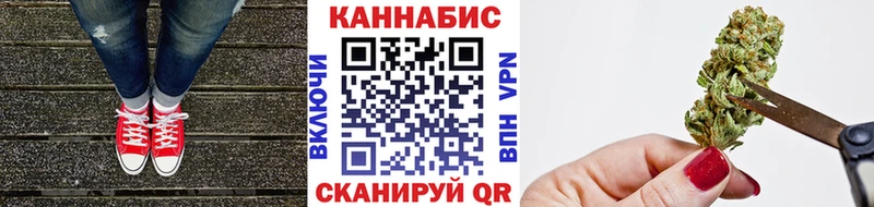 Конопля сатива  KRAKEN   Ханты-Мансийск 